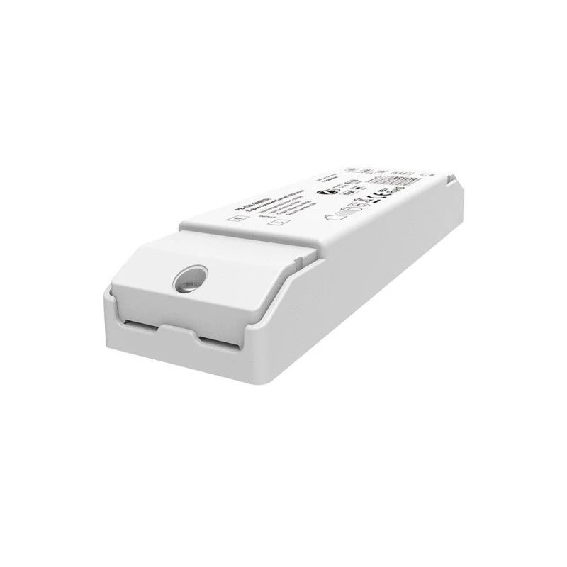 2CH CCT ZigBee 3.0 LED Driver အဆက်မပြတ် လက်ရှိ (150-450mA)